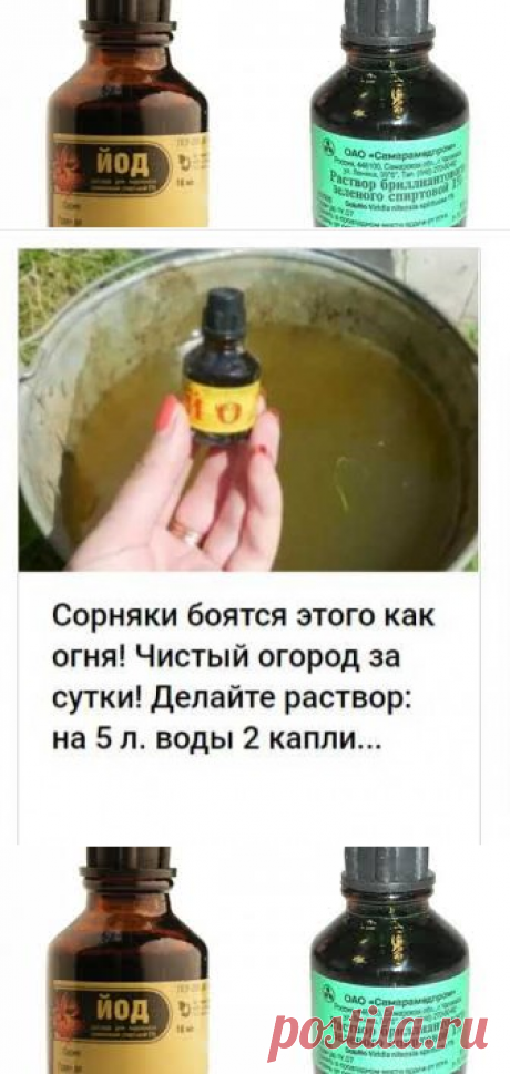 Как мы смогли избавиться от сорняков за 1 день!
Мы перепробовали разные средства от сорняков, но все было тщетно.



Сначала они погибали, но через пару дней сорняки начинали расти еще быстрее. Пока однажды к нам на огород не заглянула соседка - баба Нюра, которая была шокирована состоянием нашего огорода.

“Что ж Вы дети так плохо за огородом- то следите, думали посадили и все, можно овощи кушать?”

Мы рассказали ей о нашей проблеме, что ничем не можем вывести сорняки, а ...
