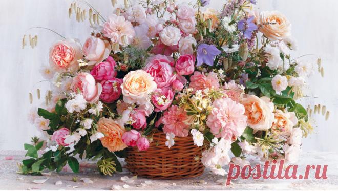 Co.Libri | Акция на Westwing