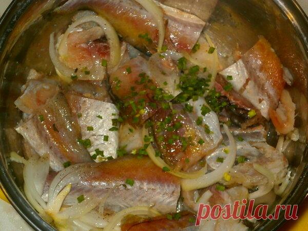 БЫСТРЕНЬКО НА УЖИН. МИНТАЙ ДЛЯ СУПРУГИ Этим рецептом любезно поделился один наш постоянный читатель и подписчик Владимир Т., спасибо ему огромное.  Рецепт публикуем со слов автора.  Рыбалка была немного неудачной, судаков не поймал, хотя обещал супруге поймать. Пришлось заходить в магазин и покупать минтай. Рыба она и есть рыба, глав