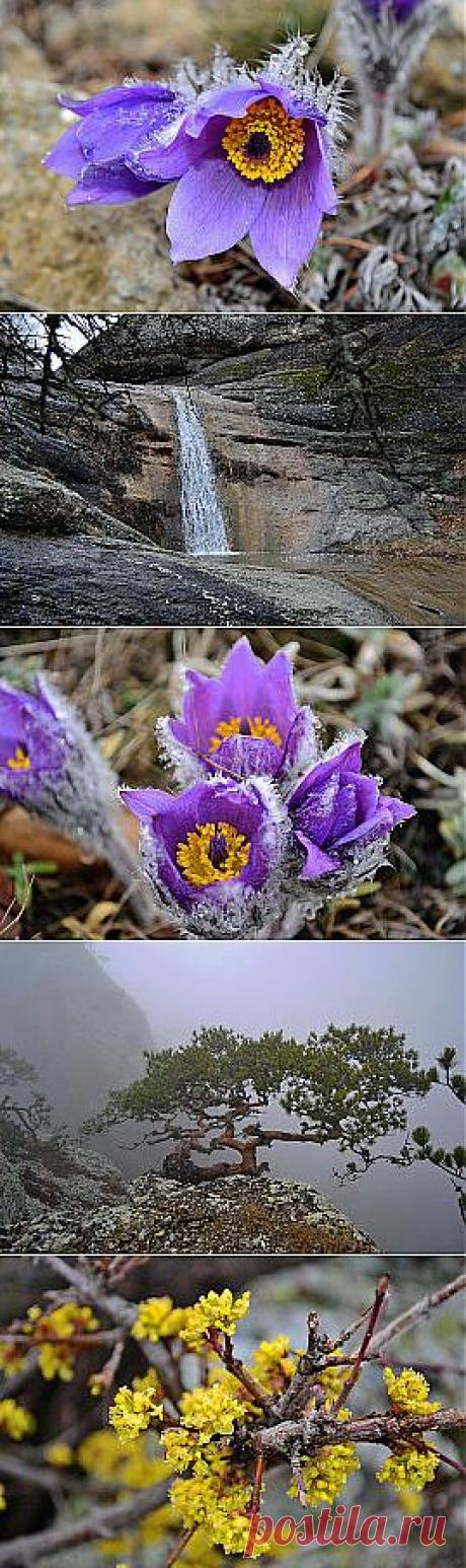 Демерджи, Крым. | Твори, учись и путешествуй…