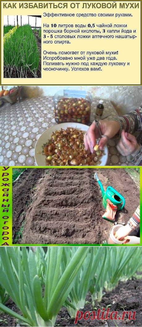 (69) Одноклассники