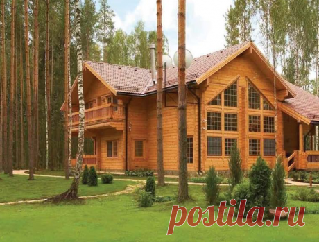 «Я законная жена, – визжала мачеха. – Ты у меня останешься безо всего. Ты же умная девочка, ещё заработаешь!» | О жизни, деньгах и любви | Яндекс Дзен