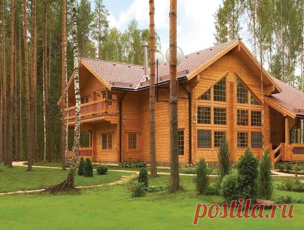 «Я законная жена, – визжала мачеха. – Ты у меня останешься безо всего. Ты же умная девочка, ещё заработаешь!» | О жизни, деньгах и любви | Яндекс Дзен