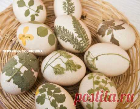 Как красиво покрасить крашенки - Перчинка хозяюшка