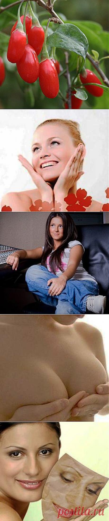 Полезные советы