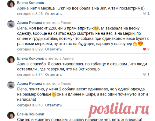 = Собаки ЧИХУАХУА =