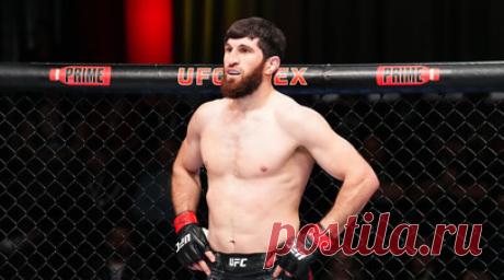 Анкалаев проигрывал Уокеру по судейским запискам до нокаута на турнире UFC. Российский боец Магомед Анкалаев одержал победу над Джонни Уокером в полутяжёлом весе в главном поединке турнира UFC Fight Night 234, который состоялся в Лас-Вегасе (США). Читать далее