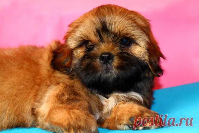 (38) Светлана Михайлова