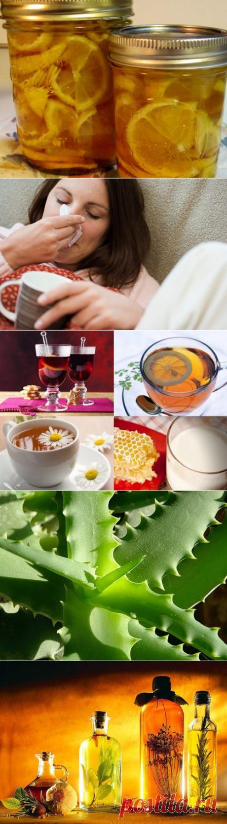 Гиппократ  лечит