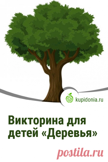 Викторина для детей «Деревья». Интересный тест для детей из серии «Растения» с простыми вопросами. Проверь свои знания!