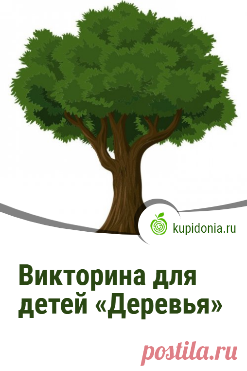 Викторина для детей «Деревья». Интересный тест для детей из серии «Растения» с простыми вопросами. Проверь свои знания!