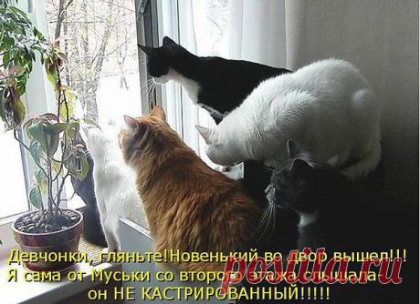 Интересные новости