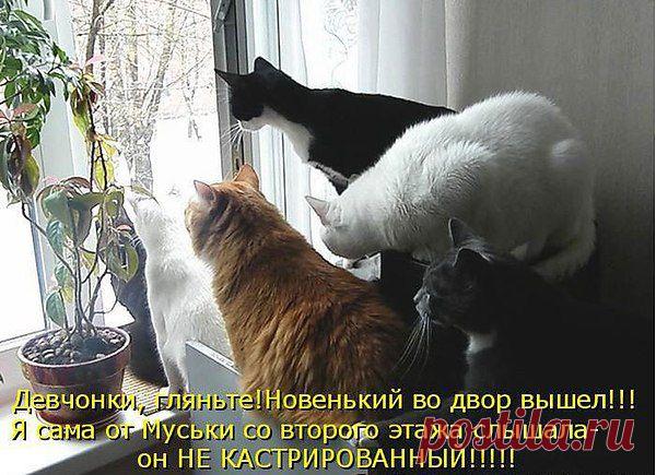 Интересные новости