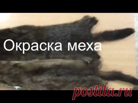 Окраска меха в домашних условиях