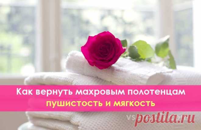 Как вернуть махровым полотенцам пушистость и мягкость Вы наверняка замечали, что со временем пушистые махровые полотенца становятся жёсткими и теряют свою эластичность и мягкость. Вот несколько советов, следуя которым вы оживите свои полотенца и сохраните надолго их мягкость и пушистость.