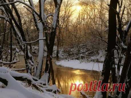pro Россию – Сообщество – Google+