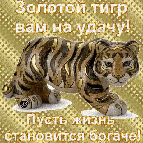 Фотографии Жемчужные мысли... Оригинал.