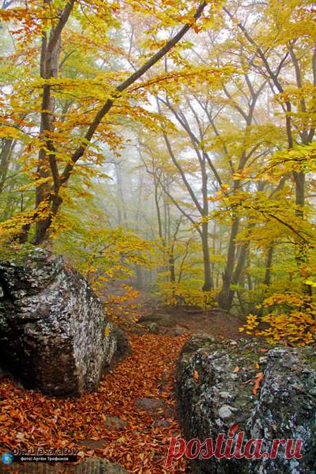 Осенние мотивы ...