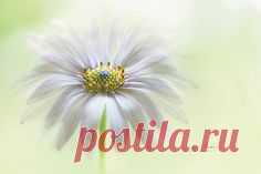 Pinterest • Всемирный каталог идей