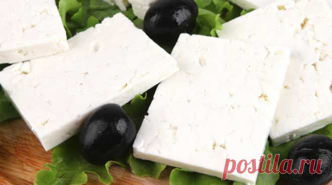 Домашний сыр фета – простой рецепт вкуснейшего сыра – lublugotovit.me