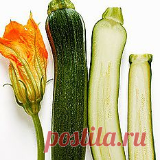 Полезные продукты - Кухня - Каталог статей - Персональный сайт