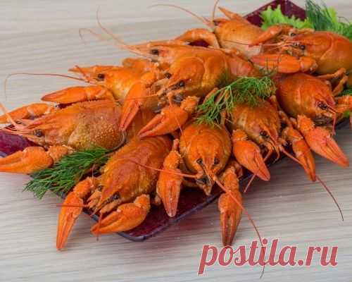 Раки в пиве