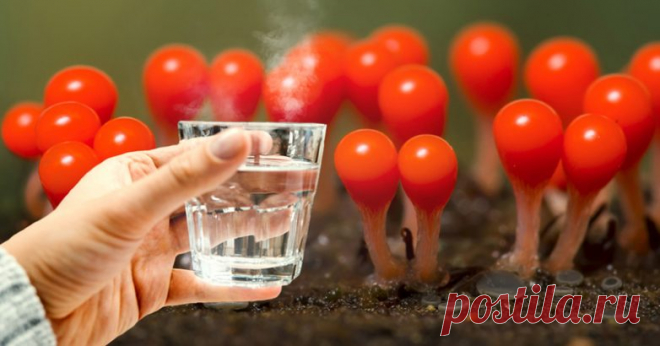 В зависимости от температуры вода может быть как полезной, так и не очень.