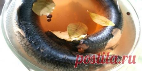 8 способов быстро и вкусно засолить селёдку — Домашняя кулинария