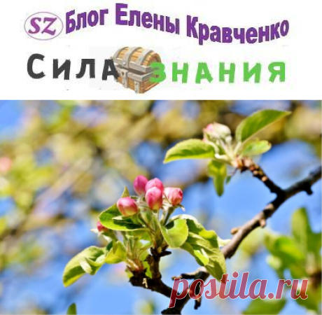 Обработка яблонь весной от болезней и вредителей