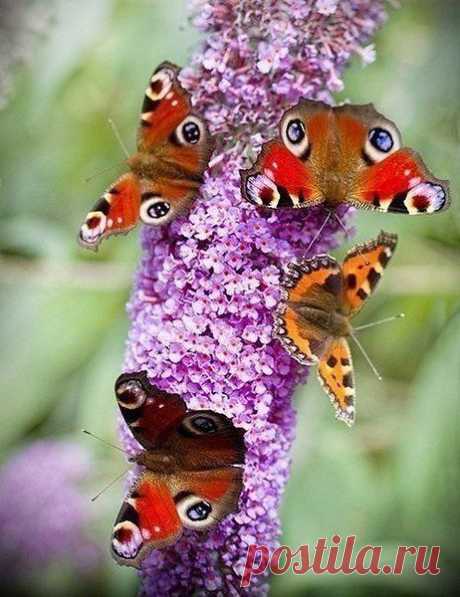 Интересные новости