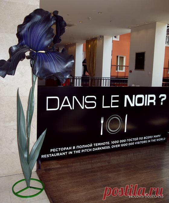 Большие цветы - Сообщество декораторов текстилем и флористов