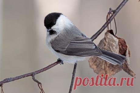 Фотогалерея Алексея Гурина