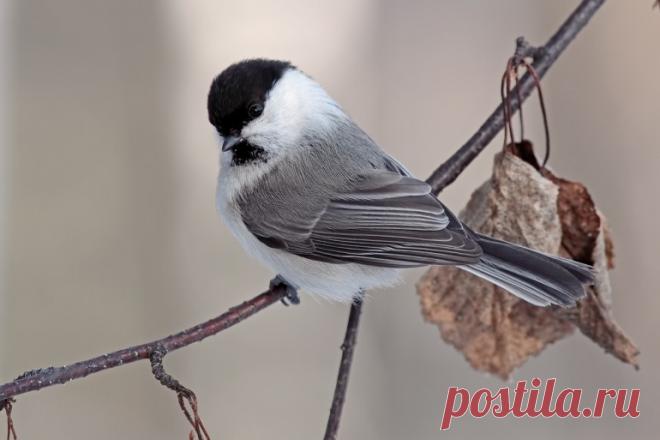 Фотогалерея Алексея Гурина
