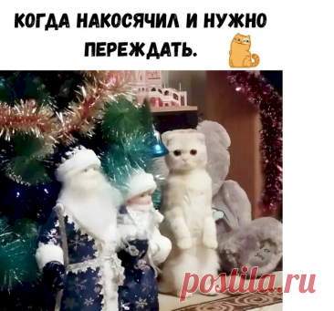 155f5da4.png (825×768)