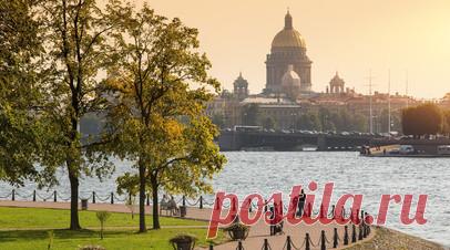 В Петербурге вручили госнаграды отличившимся горожанам. В Санкт-Петербурге вручили госнаграды и поощрения президента России медикам, инженерам, учёным, деятелям культуры, преподавателям вузов и представителям общественных организаций. Читать далее