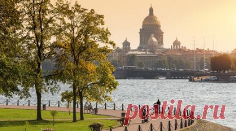 В Петербурге вручили госнаграды отличившимся горожанам. В Санкт-Петербурге вручили госнаграды и поощрения президента России медикам, инженерам, учёным, деятелям культуры, преподавателям вузов и представителям общественных организаций. Читать далее