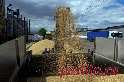 Мэр Львова обвинил польских фермеров в подлости. Акция польских фермеров, которые высыпали на дорогу украинское зерно возле контрольно-пропускного пункта (КПП) Ягодин — Дорогуск на польско-украинской границе, — подлость и позор. Об этом заявил мэр Львова Андрей Садовой в социальных сетях. Он назвал аграриев пророссийскими провокаторами.