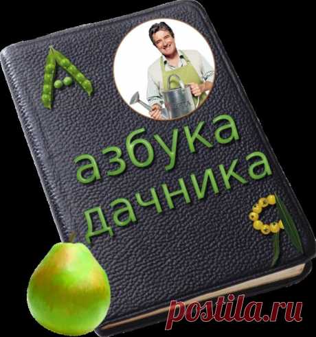 Азбука дачника
