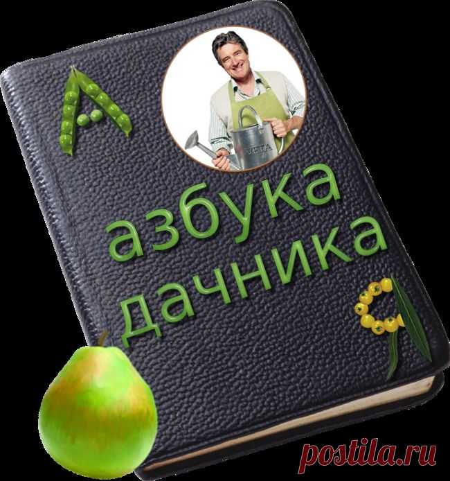 Азбука дачника