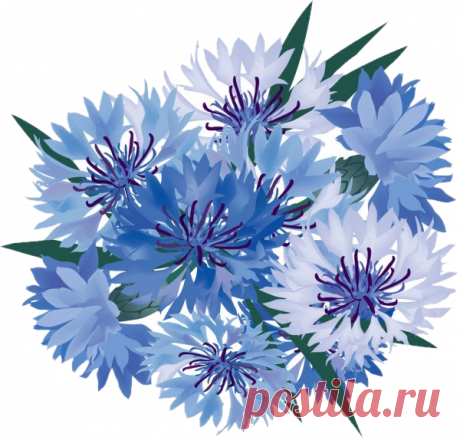 Баба Маня