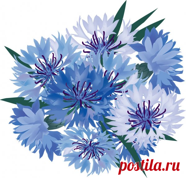 Баба Маня