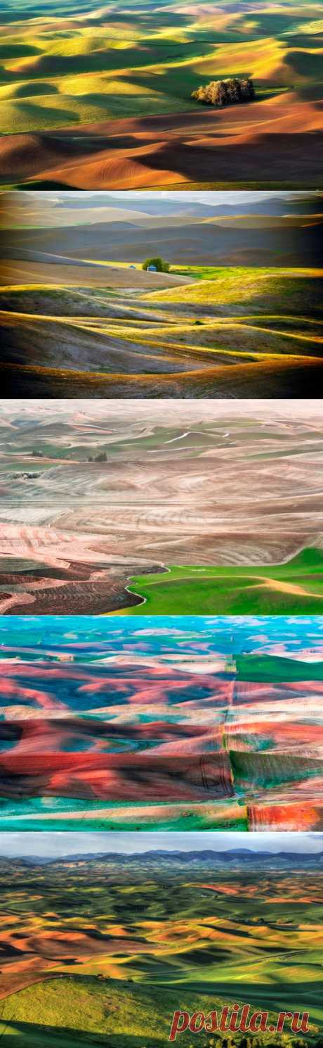 сообщение Рябина_Рябинушка : Изумрудные холмы Палуз (Palouse) - американский штат Вашингтон (05:10 10-11-2015) [5458684/376398128] - g.bosova@mail.ru - Почта Mail.Ru