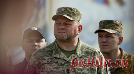 «СТРАНА.ua»: в Киеве потребовали отставки главкома ВСУ Залужного. Главнокомандующий украинской армией Валерий Залужный должен уйти с должности в связи с отсутствием плана действий на будущий год, говорится в статье украинского издания «СТРАНА.ua» со ссылкой на заявление замглавы комитета Верховной рады по вопросам нацбезопасности и обороны Марьяны Безуглой. Читать далее