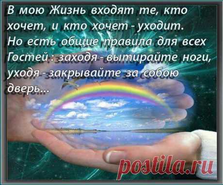 (6) Одноклассники