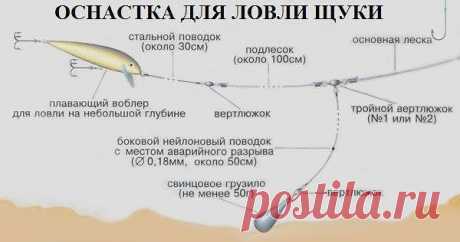 (45) Одноклассники