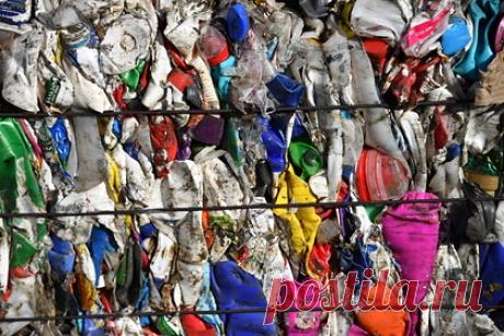 В российском регионе создадут уникальное место для борьбы с мусором. В Приморском крае решили построить уникальный экологический технопарк, где будут перерабатывать и утилизировать мусор. Первый подобный в России объект заработает до 2024 года. Для реализации проекта рассматривают территорию опережающего развития «Надеждинская». Там утилизировать пластик, стекло, бумагу, картон.