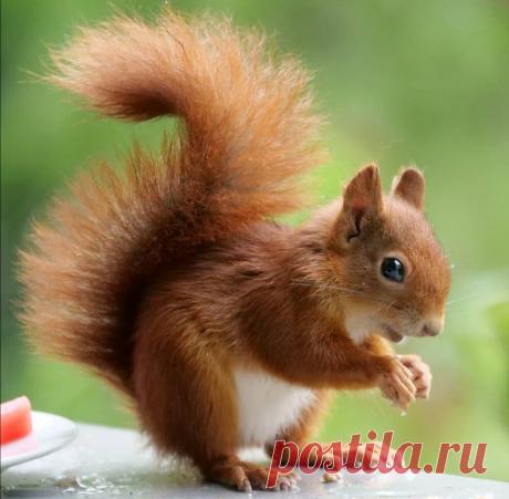 Пин содержит это изображение: