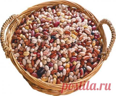 Как можно погадать? Гадание на бобах обучение в картинках бесплатно 100% Гадания и предсказания Считается, что способ на Русь принесли варяги, которые частенько наведывались в Скандинавию, где гадалки вовсю использовали цветные фасолины и сухой горох.