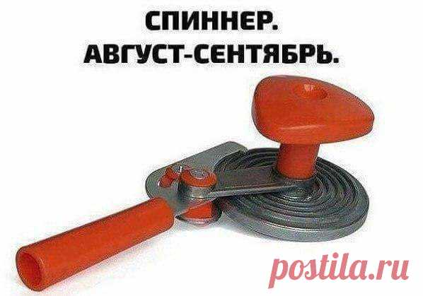 (95) МОЯ ДАЧА дизайн, огород, сад, цветы, идеи, советы, дачники и дачная жизнь