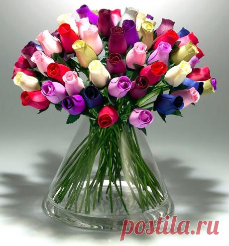 tulipanes de colores - Buscar con Google